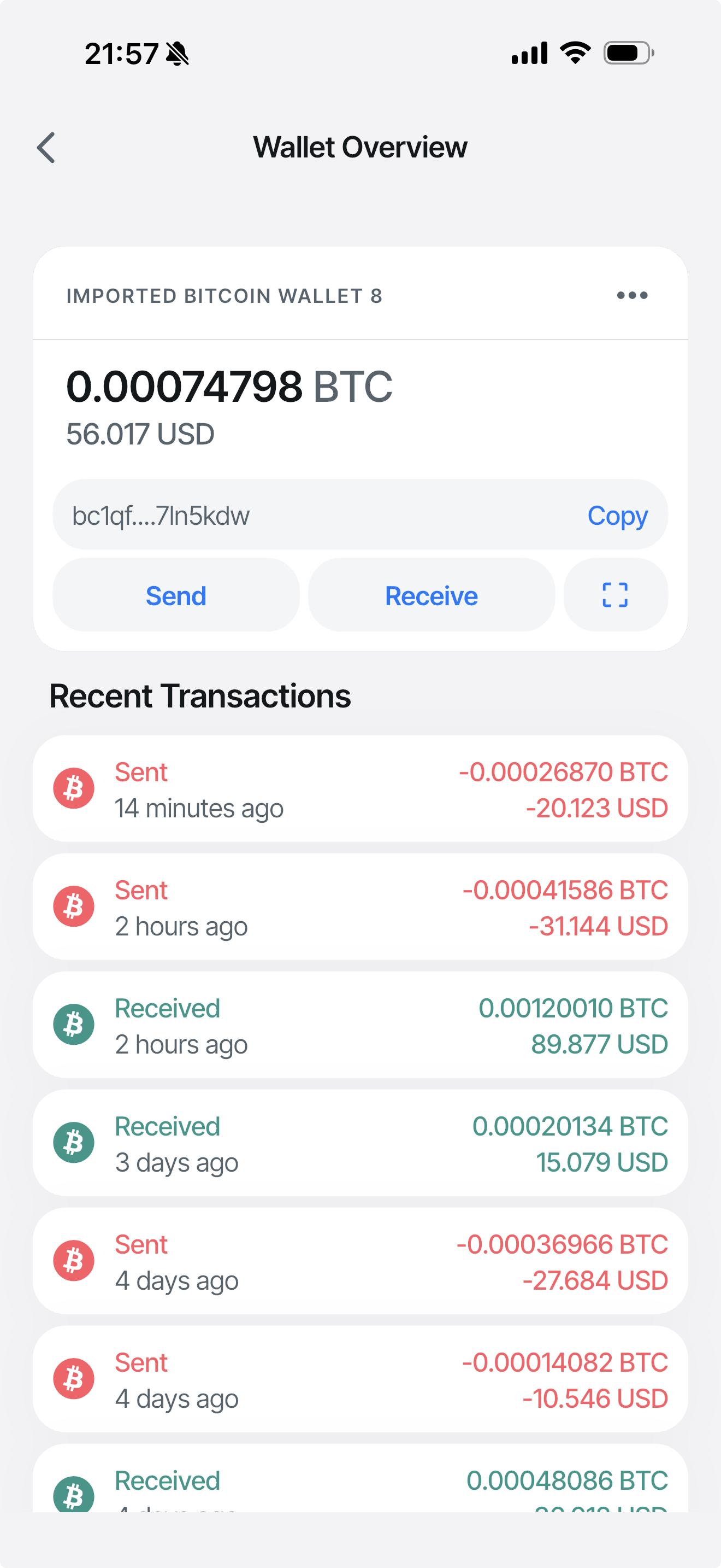 RuieBit Bitcoin Wallet